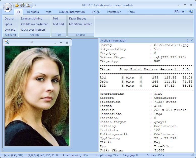 Image Editor and Converter Pro in Swedish